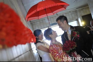 星映傳情 用光影定格戶外婚紗與婚禮的永恒瞬間